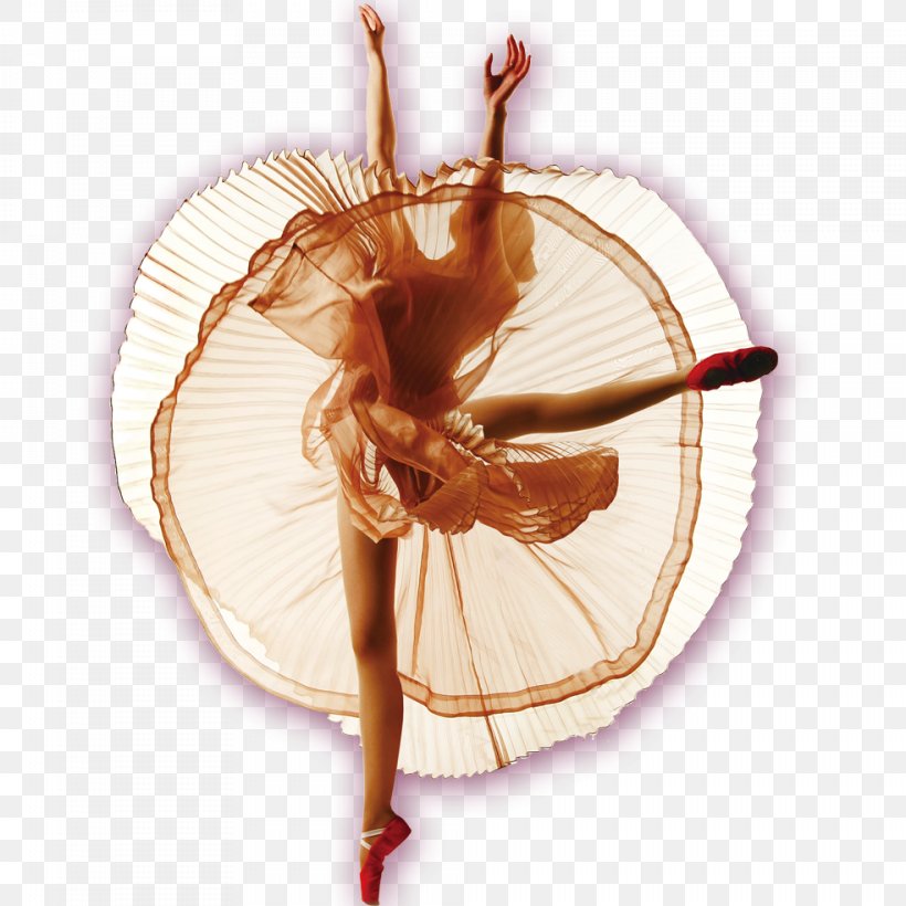 Ballet Dancer Ballet Dancer Pointe Shoe Pointe Technique, PNG, 984x984px, Watercolor, Cartoon, Flower, Frame, Heart Download Free
