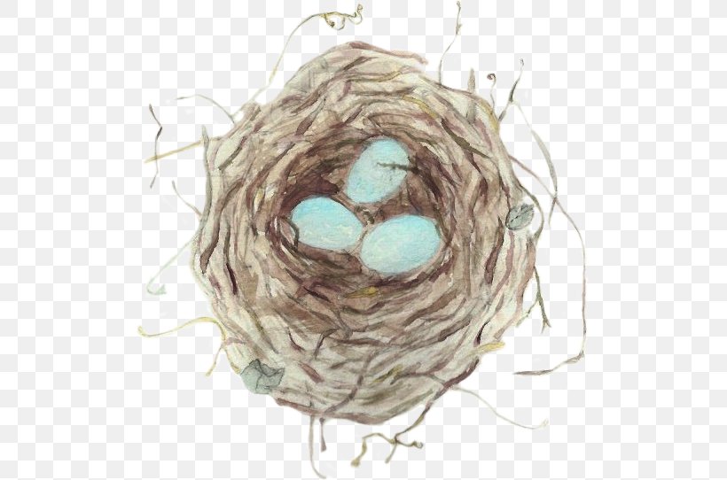 Bird Nest The Echoing Bird's Nest Thrush, PNG, 512x542px, Bird Nest, Bird, Chat, Child, Echoing Download Free