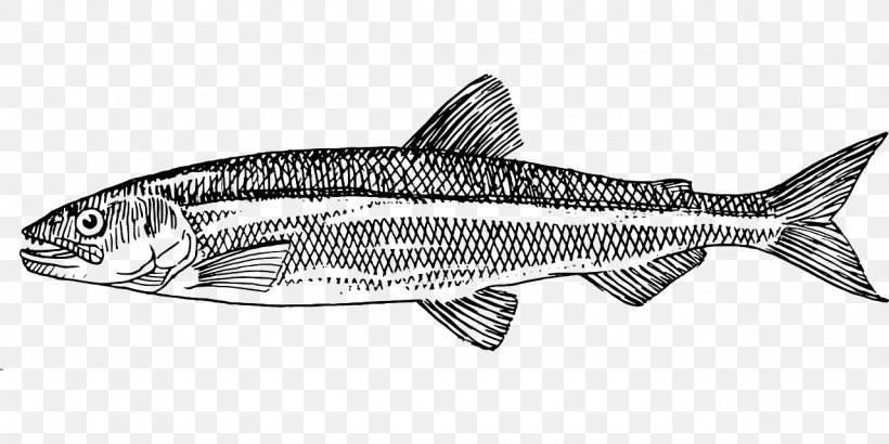 Clip Art Drawing Image Vector Graphics Fish, PNG, 1280x640px, Drawing, Anchovy, Art, Automotive Design, Black And White Download Free