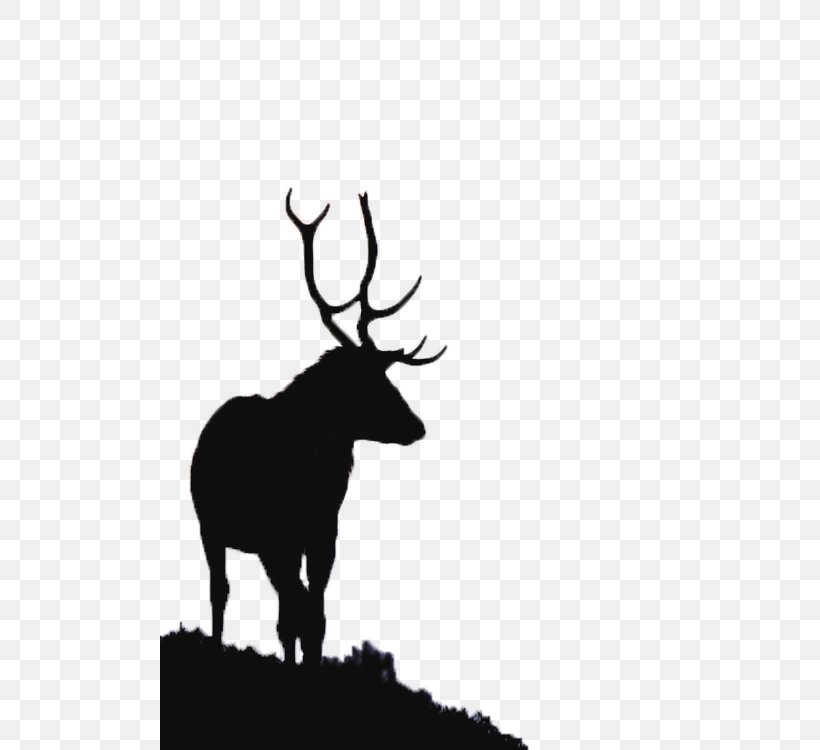 River Glass, Strathglass Beauly Firth Red Deer Elk, PNG, 500x750px, Deer, Animal, Antler, Black And White, Cattle Like Mammal Download Free