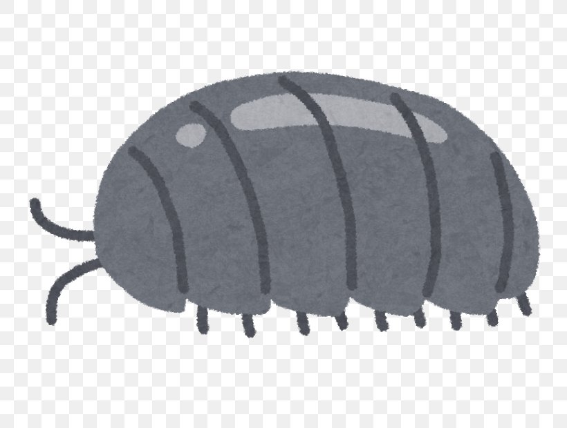 Roly-poly Woodlouse Gashapon Art, PNG, 800x620px, Rolypoly, Art, Automotive Tire, Bandai, Gashapon Download Free