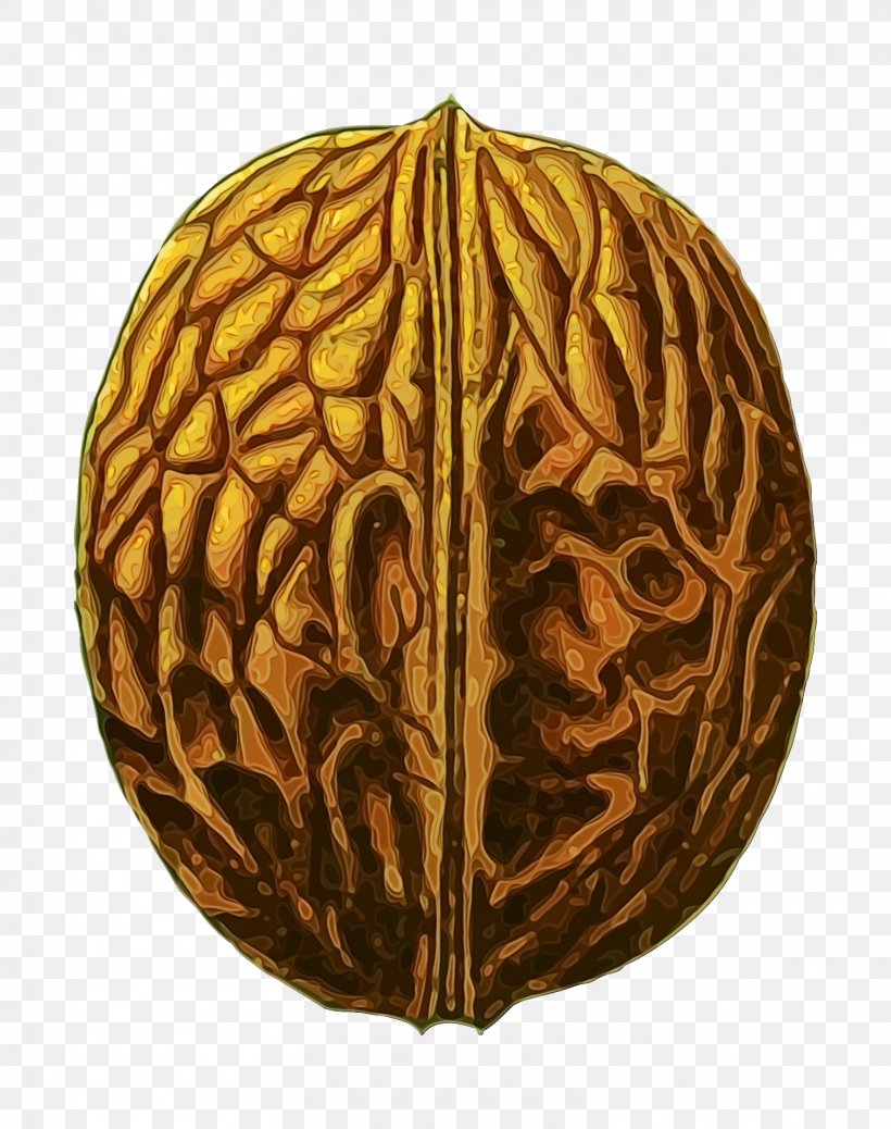 Walnut Tree, PNG, 1516x1920px, Walnut, Cartoon, Carving, Drawing, English Walnut Download Free