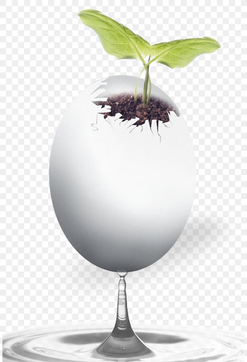 Download Gratis Google Images, PNG, 803x1200px, Gratis, Flowerpot, Germination, Glass, Google Images Download Free