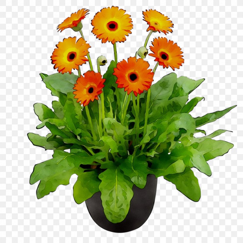 Floral Design Transvaal Daisy Cut Flowers, PNG, 1125x1125px, Floral Design, African Daisy, Annual Plant, Artificial Flower, Asterales Download Free