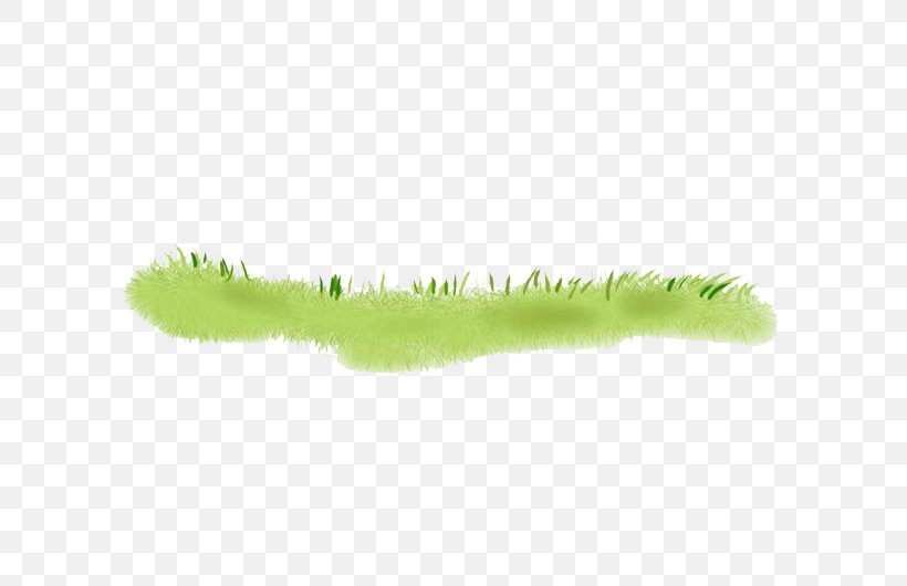 Hand Painted Green Grass, PNG, 610x530px, Larva, Animal, Grass, Green, Material Download Free