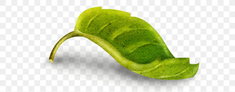 Photography Leaf Drawing Blog, PNG, 600x321px, Photography, Biscuits, Blog, Drawing, Flower Download Free