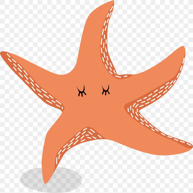Starfish Euclidean Vector, PNG, 1969x1976px, Starfish, Echinoderm, Invertebrate, Marine Invertebrates, Orange Download Free