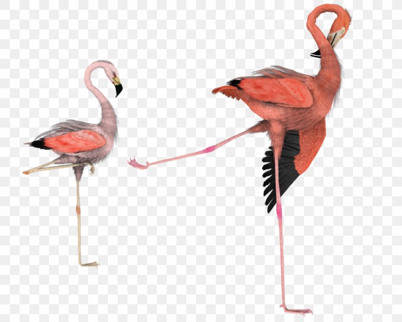 Bird Flamingo Art Clip Art, PNG, 900x720px, Bird, Art, Beak, Dance, Deviantart Download Free