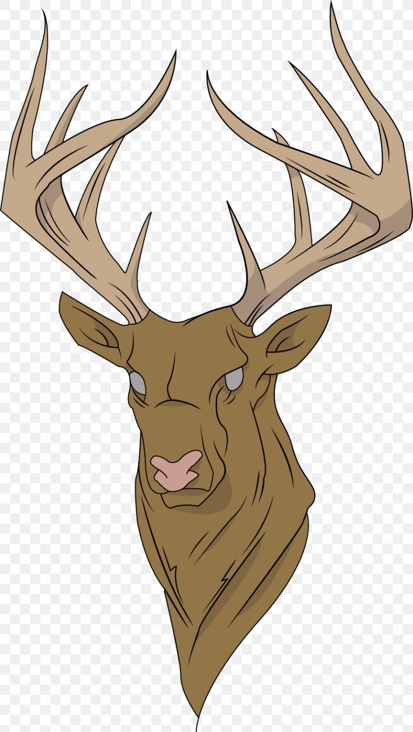 Chihuahua Reindeer Elk Antler, PNG, 858x1522px, Chihuahua, Animal, Antler, Blacktailed Deer, Deer Download Free