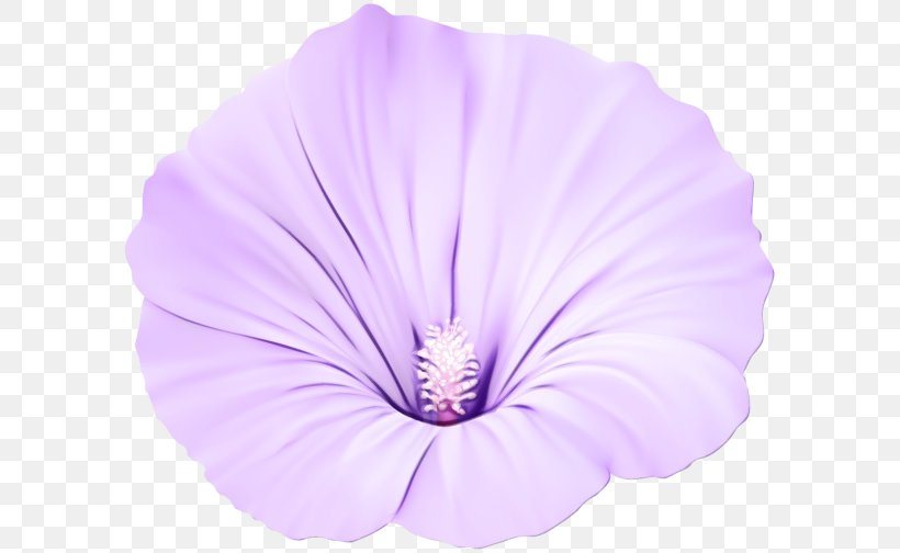 Lavender, PNG, 600x504px, Watercolor, Flower, Lavender, Morning Glory, Paint Download Free