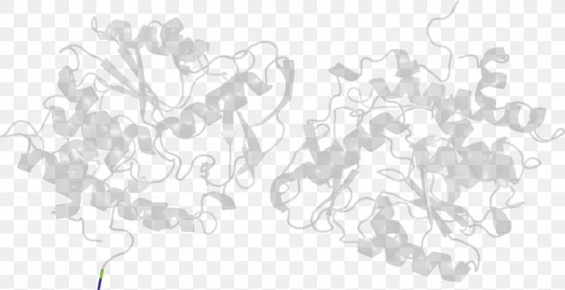 White Line Art Point Tree Angle, PNG, 970x500px, White, Area, Black, Black And White, Drawing Download Free