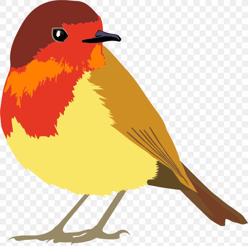 Lovebird European Robin Clip Art, PNG, 2312x2288px, Bird, Beak, Drawing, Emberizidae, European Robin Download Free