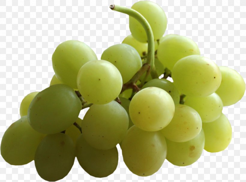 Sultana Grape Seedless Fruit Clip Art, PNG, 1280x949px, Sultana, Amazon Grape, Auglis, Drawing, Food Download Free