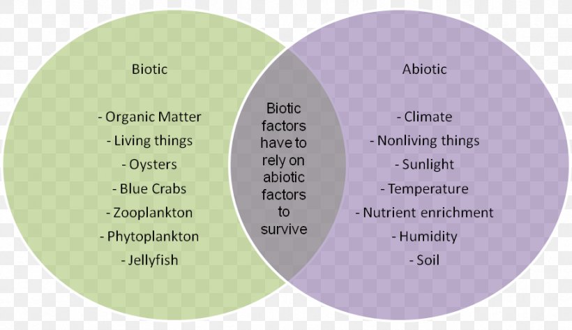 Abiotic Component Animal .com Mixture, PNG, 913x527px, Biotic Component, Abiotic Component, Animal, Brand, Com Download Free
