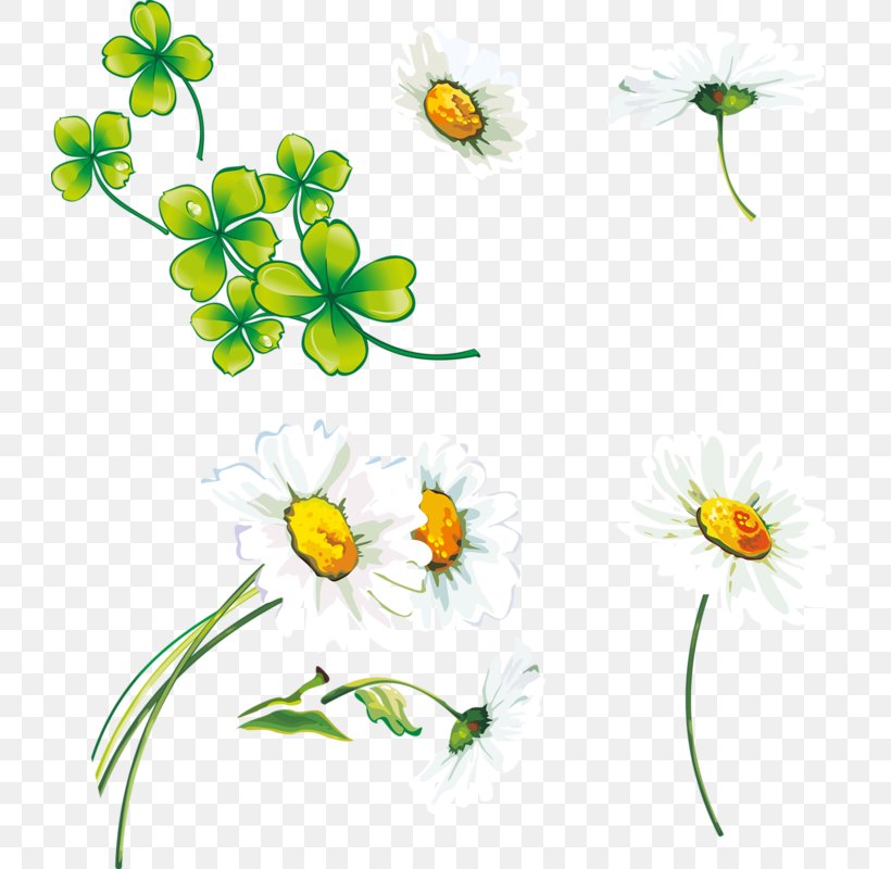 Clip Art, PNG, 725x800px, Flower, Art, Branch, Cartoon, Chamaemelum Nobile Download Free