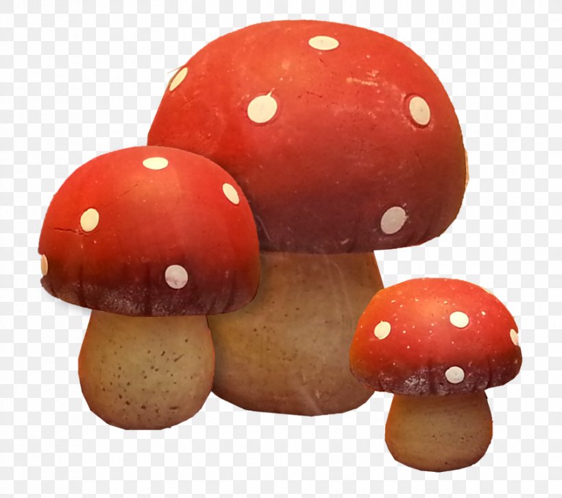 Edible Mushroom, PNG, 903x800px, Edible Mushroom, Ingredient, Mushroom Download Free