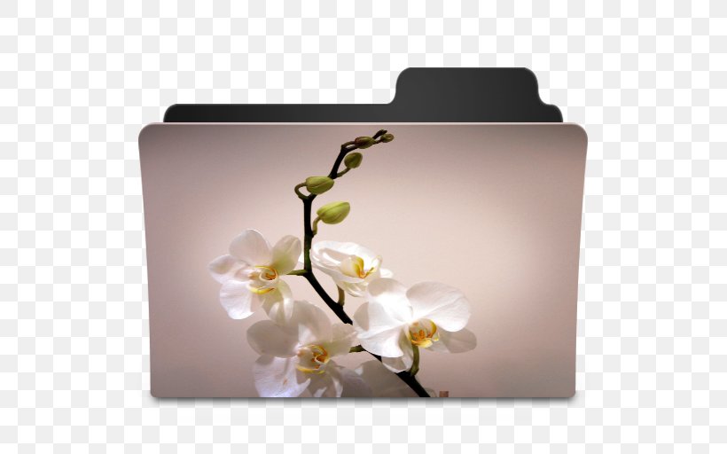 Flower Desktop Wallpaper Quotation Blossom Morning, PNG, 512x512px, Flower, Blossom, Edible Flower, Evening, Floral Design Download Free