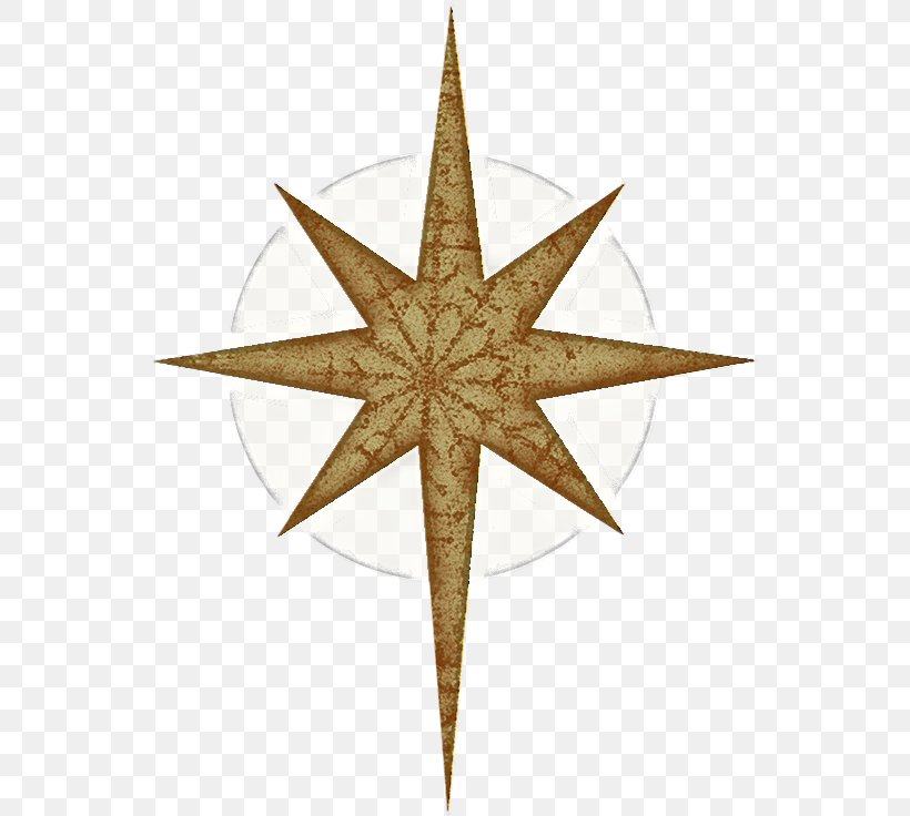 Star Symmetry, PNG, 554x736px, Star, Symmetry Download Free