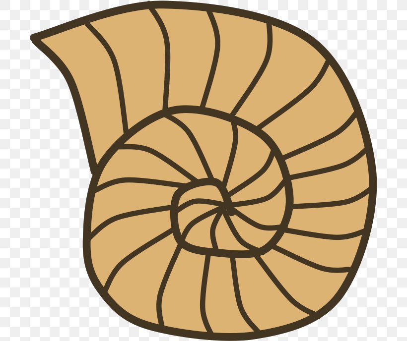 Gastropod Shell Seashell Snail Mollusc Shell Clip Art, PNG, 700x688px, Gastropod Shell, Area, Artwork, Color, Conch Download Free