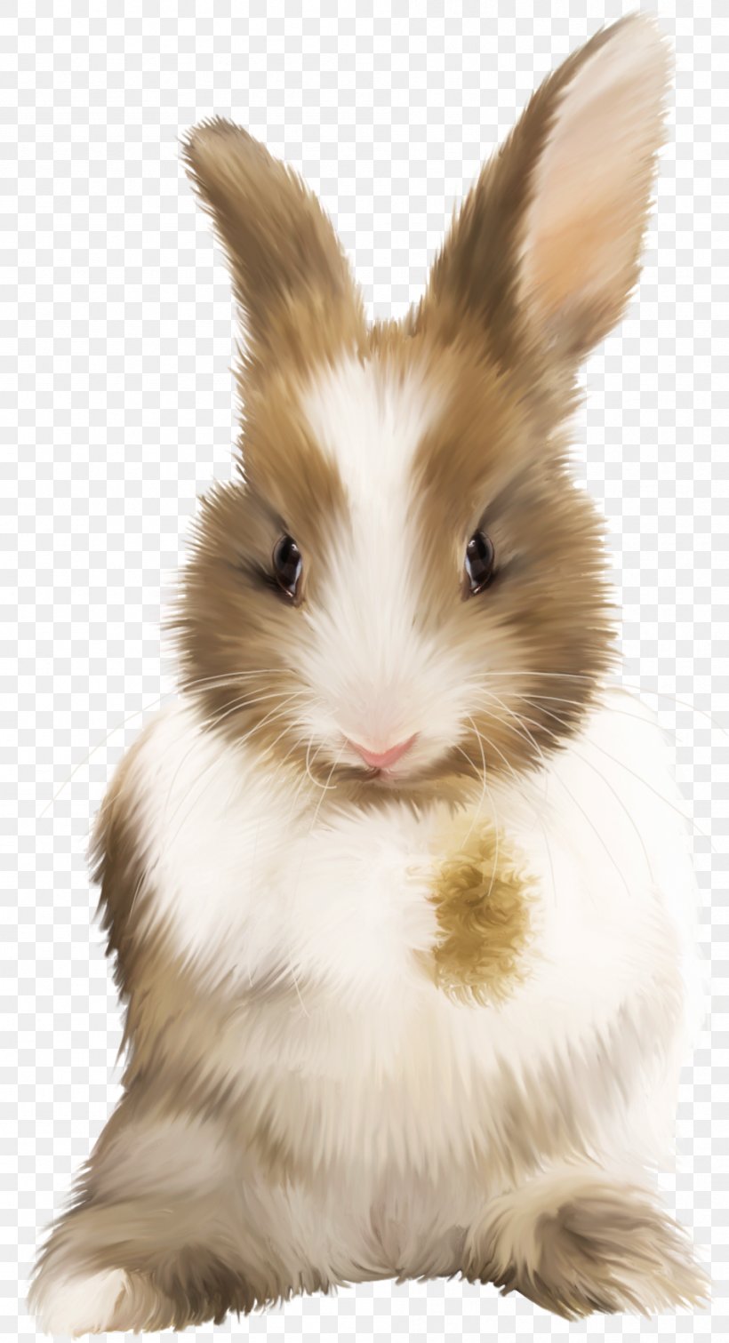 Hare Domestic Rabbit Cat, PNG, 948x1748px, Hare, Animal, Cat, Cat Litter Trays, Domestic Rabbit Download Free