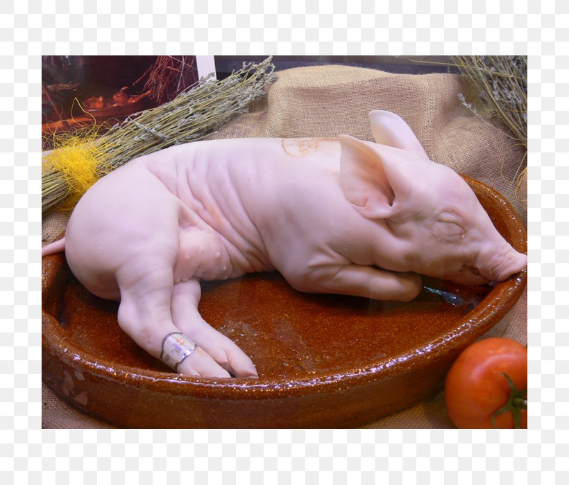 Segovia Domestic Pig Spanish Cuisine Pig Roast, PNG, 700x700px, Segovia, Asador, Cat, Cat Like Mammal, Domestic Pig Download Free