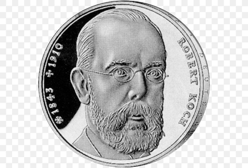 Facial Hair Coin Money Beard Currency, PNG, 570x556px, Facial Hair, Beard, Black And White, Coin, Currency Download Free
