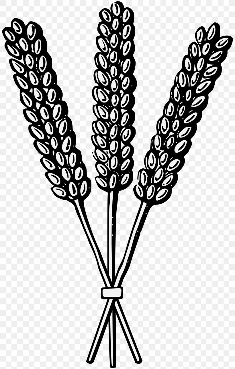 Sheaf Wheat Heraldry Cereal PDF, PNG, 938x1472px, Sheaf, Art, Black And White, Cereal, Charge Download Free
