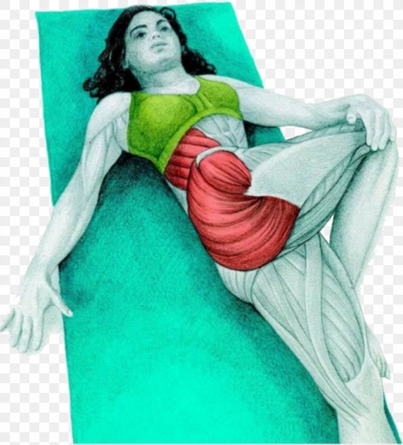 Stretching Muscle Supine Position Exercise Calf, PNG, 926x1024px, Stretching, Abdomen, Abdominal External Oblique Muscle, Arm, Calf Download Free