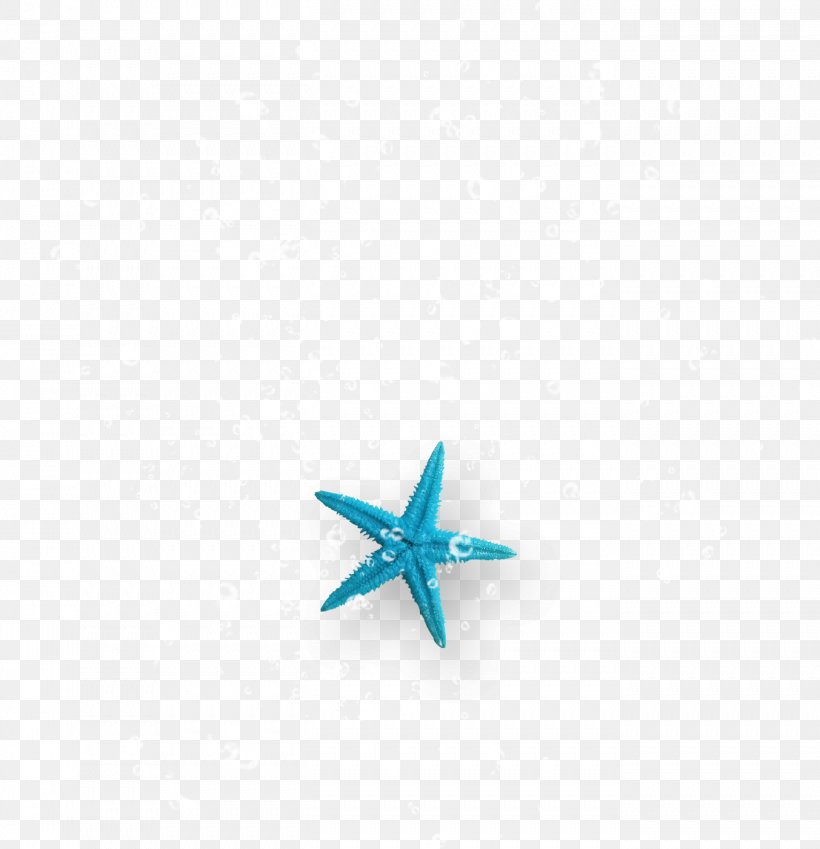 Turquoise Starfish Computer Wallpaper, PNG, 1353x1402px, Turquoise, Aqua, Blue, Computer, Starfish Download Free