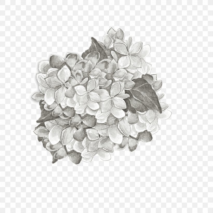 Black And White Petal Pattern, PNG, 1500x1500px, Plant, Black And White, Flower, Glaucophyte, Grey Download Free