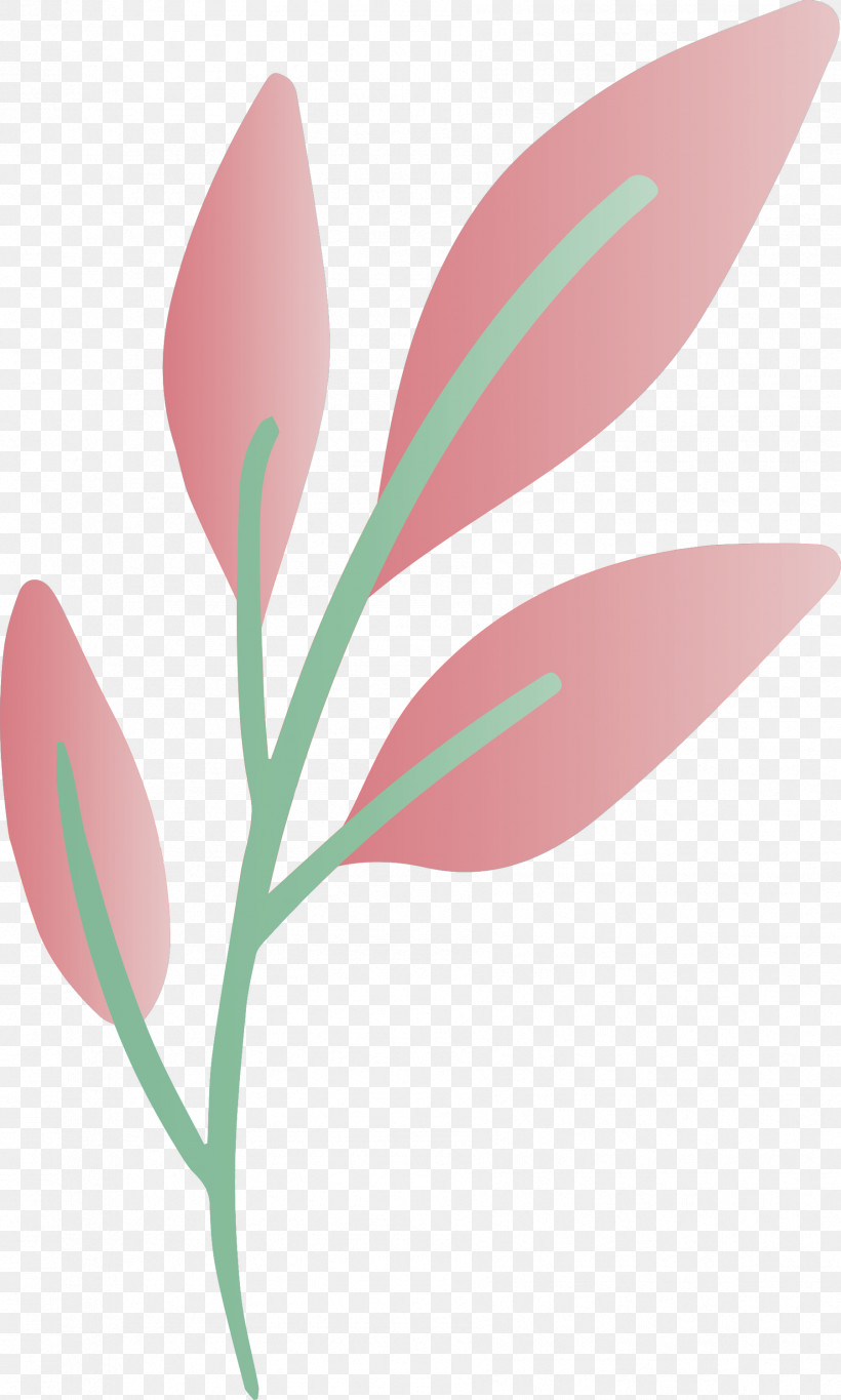 Flower Plant Leaf Pedicel Pink, PNG, 1801x3000px, Flower, Leaf, Pedicel, Petal, Pink Download Free