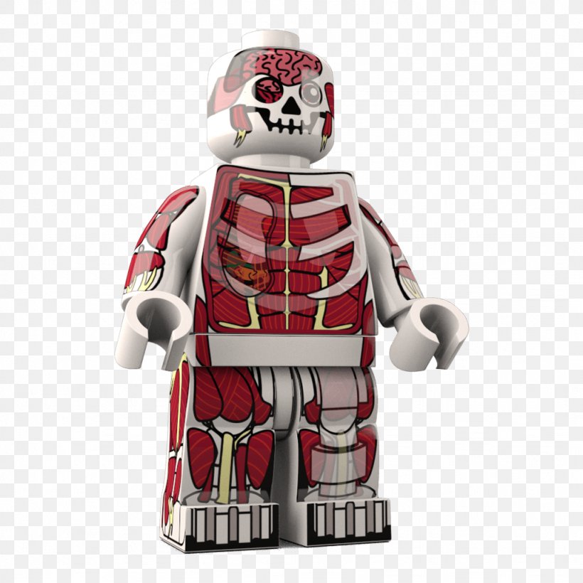 Lego Minifigures Figurine AFOL, PNG, 1024x1024px, Lego Minifigure, Afol, Collectable, Collector, Decal Download Free
