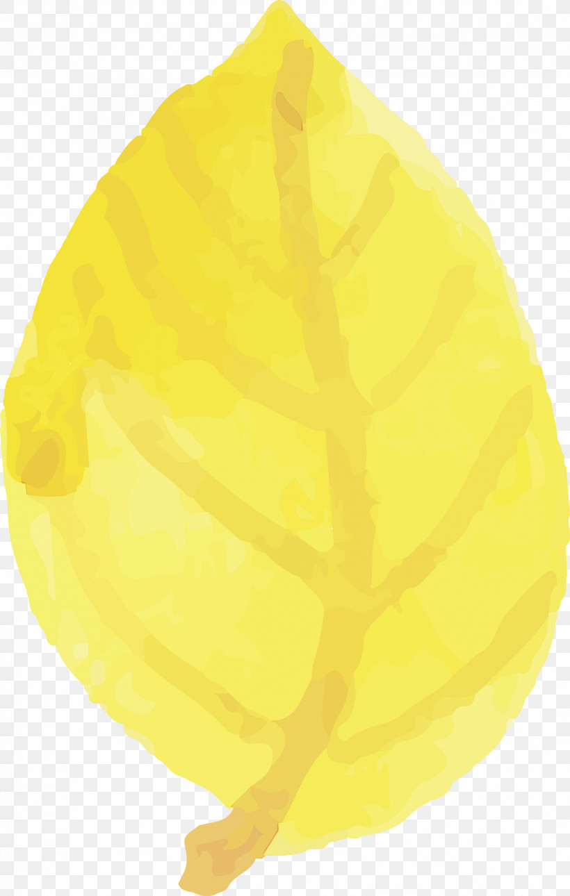 Lemon Citron Yellow Commodity, PNG, 1906x3000px, Watercolor Autumn, Citron, Commodity, Lemon, Paint Download Free