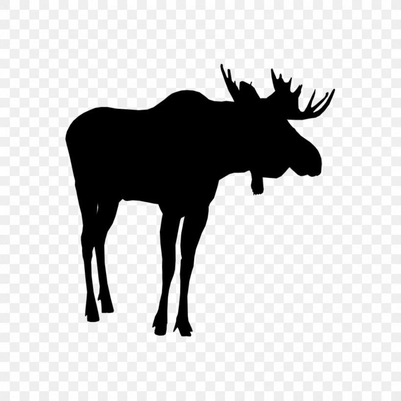 Animal Cartoon, PNG, 1773x1773px, Moose, Animal, Antler, Cattle, Deer Download Free