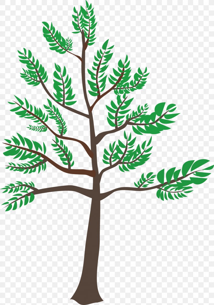 Cedar Center Clip Art, PNG, 1141x1624px, Scalable Vector Graphics, Branch, Child, Conifer, Grass Download Free