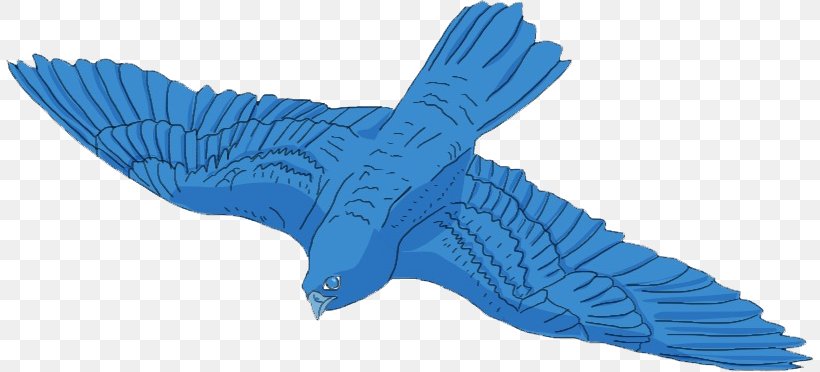 Cobalt Blue Animal, PNG, 808x372px, Cobalt Blue, Animal, Animal Figure, Beak, Blue Download Free