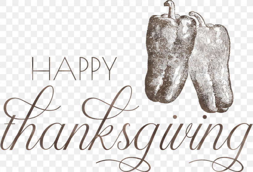 Happy Thanksgiving, PNG, 3000x2038px, Happy Thanksgiving, Meter, Shoe Download Free