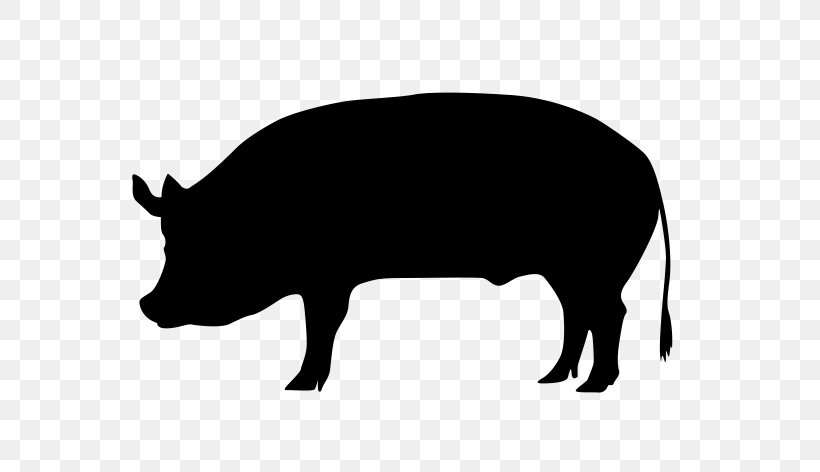 Pig Cartoon, PNG, 623x472px, Pig, Boar, Domestic Pig, Food, Lechona Download Free