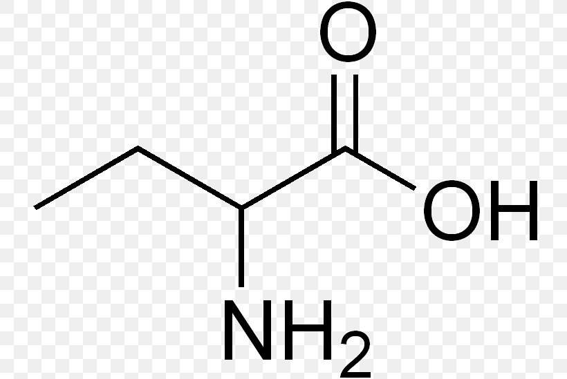 Amino Acid Cyclohexanecarboxylic Acid Alpha-Aminobutyric Acid, PNG, 739x549px, Amino Acid, Acetic Acid, Acid, Alphaaminobutyric Acid, Amine Download Free