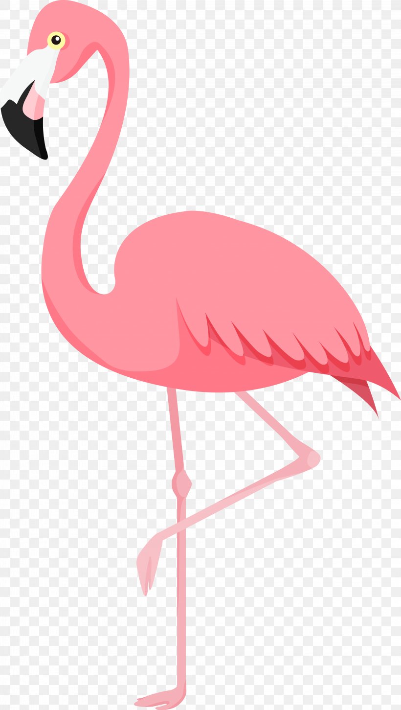 Flamingos Bird, PNG, 4035x7144px, Flamingos, Beak, Bird, Blog, Flamingo Download Free