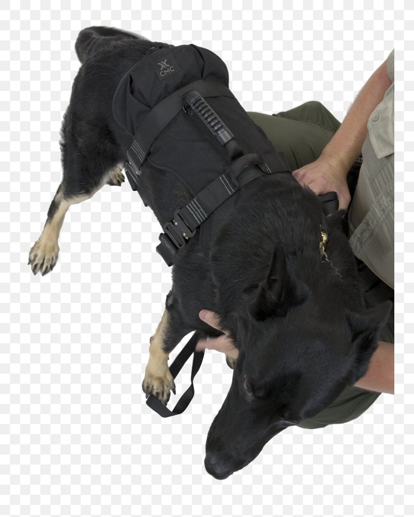 German Shepherd Dog Harness Search And Rescue Dog Abseiling Police Dog, PNG, 742x1024px, German Shepherd, Abseiling, Climbing Harnesses, Dog, Dog Breed Download Free
