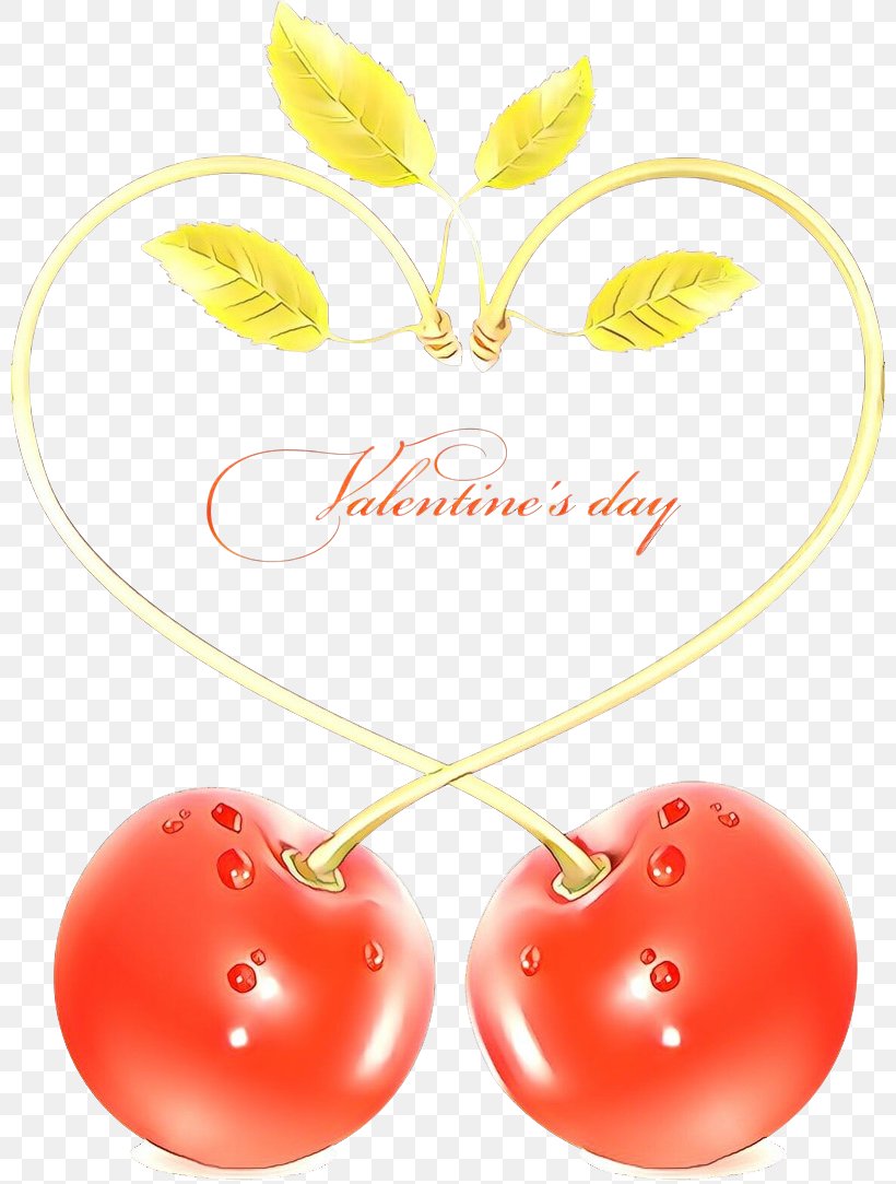 Heart Cherry Love Plant, PNG, 800x1083px, Heart, Cherry, Love, Plant Download Free