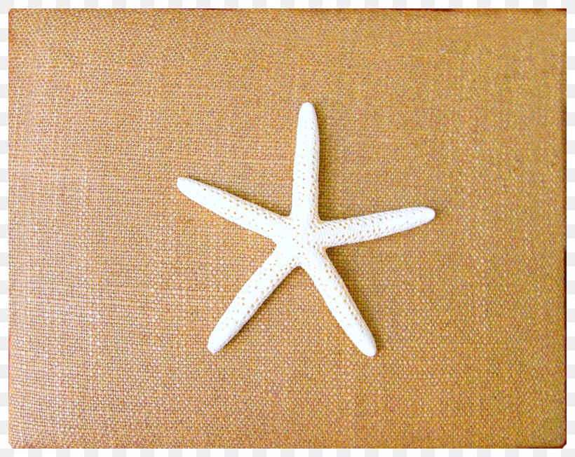 Starfish Wood /m/083vt, PNG, 2447x1948px, Starfish, Beige, Book, Coral, Echinoderm Download Free