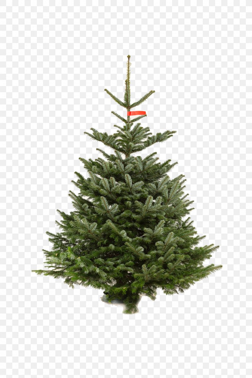 Artificial Christmas Tree Pre-lit Tree Christmas Lights, PNG, 1280x1920px, Artificial Christmas Tree, Blue Spruce, Christmas, Christmas Decoration, Christmas Lights Download Free