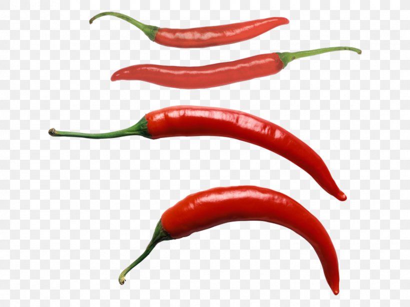 Bird's Eye Chili Serrano Pepper Pasilla Tabasco Pepper Cayenne Pepper, PNG, 866x650px, Birds Eye Chili, Bell Peppers And Chili Peppers, Capsicum, Cayenne Pepper, Chili Con Carne Download Free
