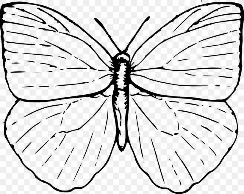 Butterfly Drawing Line Art Clip Art, PNG, 999x792px, Butterfly, Art, Arthropod, Artwork, Black And White Download Free