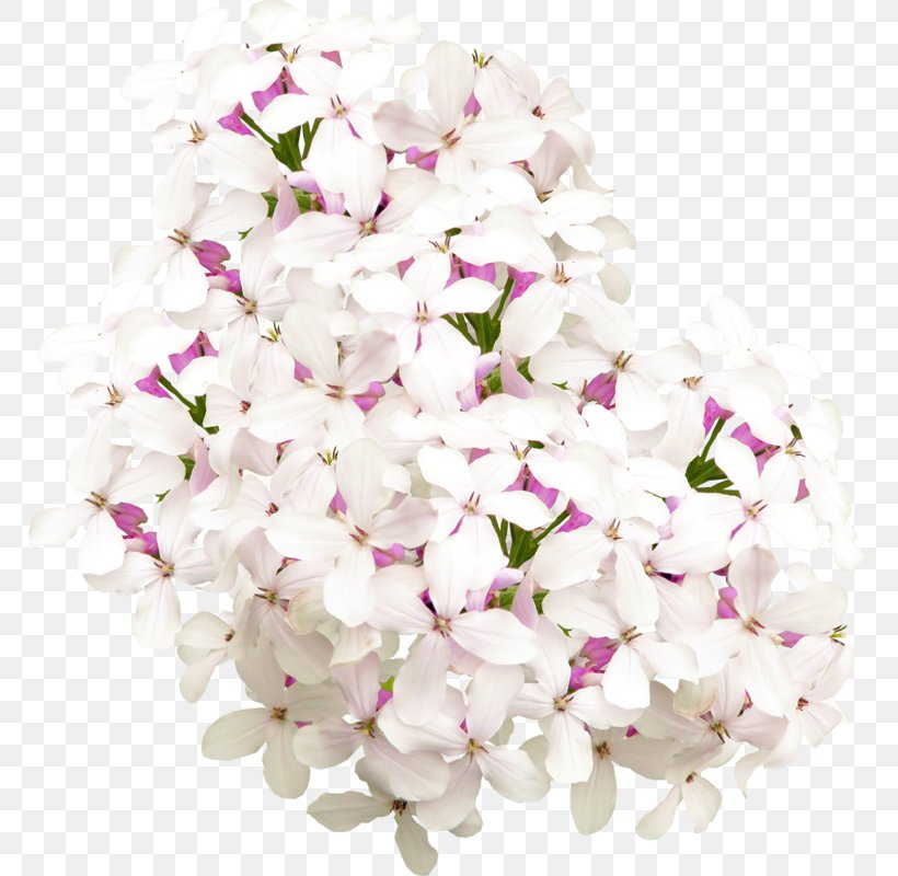 Floral Design Lilac Flower Clip Art, PNG, 767x800px, Floral Design, Blossom, Cut Flowers, Diary, Floristry Download Free