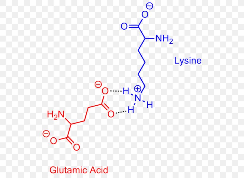 Salt Bridge Glutamic Acid Lysine Acid Salt, PNG, 550x600px, Salt Bridge, Acid, Acid Salt, Amino Acid, Area Download Free
