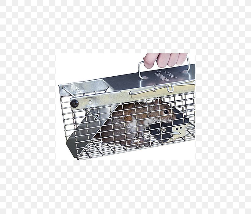 Squirrel Rodent Trapping Rat Chipmunk, PNG, 698x698px, Squirrel, Animal, Bait, Cage, Chipmunk Download Free