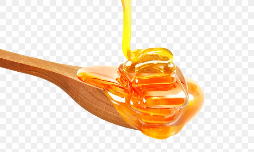 Bee Honeycomb Ingredient Honinglepel, PNG, 1024x613px, Bee, Bowl, Comb Honey, Dessert, Food Download Free